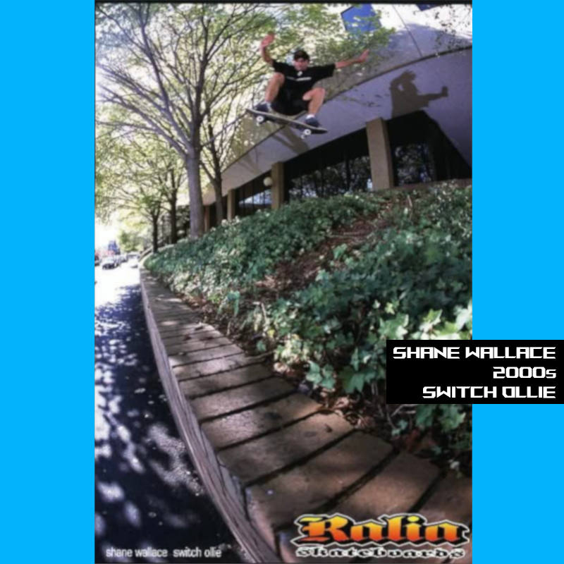 Shane doing a switch ollie over a leafy gap onto the sidewalk.